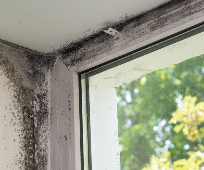 Co je syndrom nemocných budov a jak jej řešit